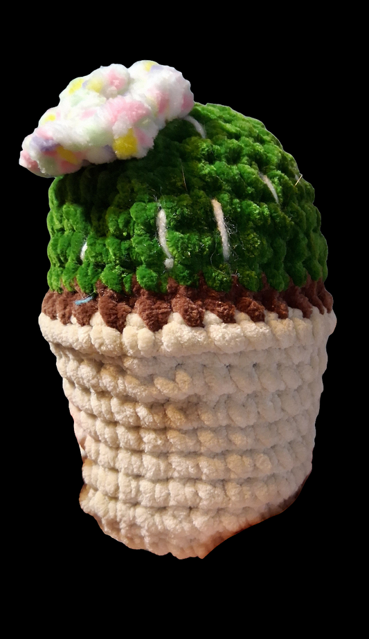 Potted Cactus